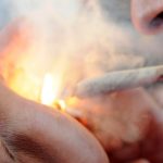 Spain becomes nation of stoners as popularity of cannabis clubs soars