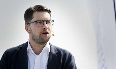 Sweden Democrats: 'We will run the country'