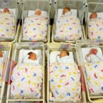 Germany sees biggest baby batch in a decade