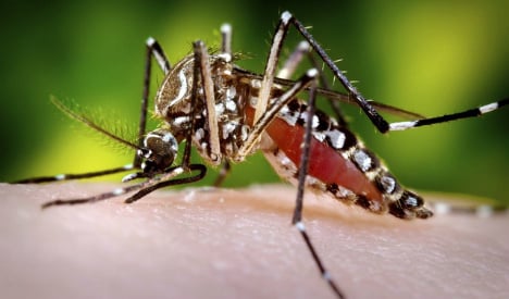 Spain on alert after first case of mosquito-borne virus detected