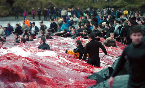 Anti-whaling activists barred from Faroes