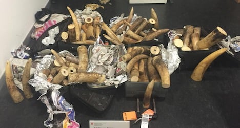 Customs nabs suitcases of ivory at Zurich airport
