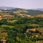 <b>Garden tour of Tuscany</b>
Imagine stepping into a painting by a Renaissance master. This tour includes visits to fine historical gardens, national parks and even a biodynamic farm. Walks range from six to 12km in the heart of Italy. Info:
http://www.hiddenitaly.com.au/guided-tours/Photo: Guillnprez