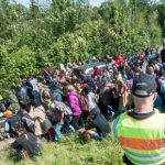 Minister moots asylum checks at German border