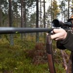 Sweden’s annual elk hunt goes off with a bang