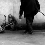 A trainer looms over this rhesus macaque monkey - part of a story on the ban on animal circuses in China which has passed many parts of the country by and failed to stop animal cruelty.Photo: Yongzhi Chu, China