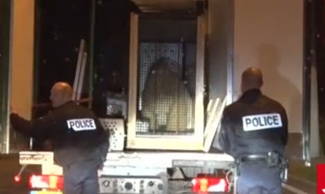 Calais refugees hide in truck... with a polar bear
