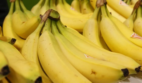 Spain finds 300 kilos of cocaine in banana shipment from Costa Rica