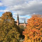 Beautiful colours of the Swedish autumn.Photo: Maddy Savage