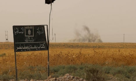 France's air strikes likely killed French jihadists
