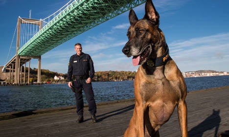 Three barks for Swedish canine cop of the year