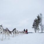 Luleå: 8 winter must-dos in Sweden’s far north