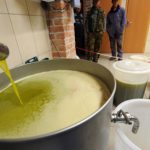 Seven Italian firms probed in olive oil scam