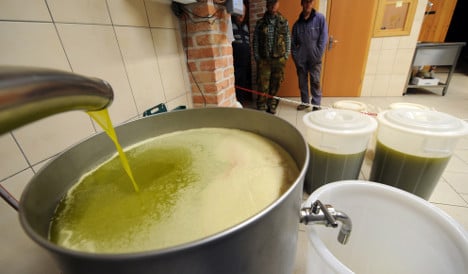 Seven Italian firms probed in olive oil scam