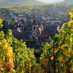 Winemakers promise Alsace red ‘revolution’