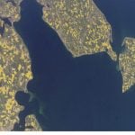 Fields in bloom in the Mecklenburg Bay (Mecklenburger Bucht) on Germany's north-eastern coast.Photo: Nasa
