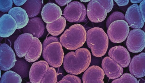 Swedes fear ‘worrying’ rise of super-gonorrhea