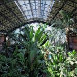 August: One of the only cool spots in Madrid at this time of year - the rainforest in the city's Atocha railway station. Photo: sherryabad/Instagram