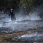 Arsonists blamed as 130 wildfires raze northern Spain natural parks