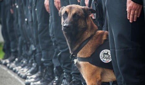 UK charity to award dog killed after Paris attacks