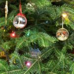 Turbo trees give Danish Christmas green edge
