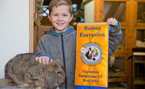 Bavarian boy is Europe rabbit breeding champ