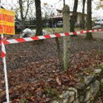 New cases of bird flu in south west France