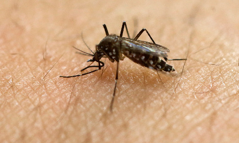 Swedish tourist got Zika virus on visit to Brazil