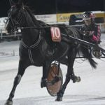 Swedish racer defends eating own dead horse