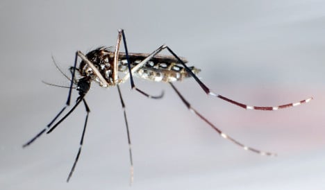 2 Zika virus cases in Germany, but spread 'very, very unlikely'