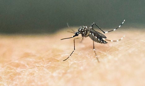 Danish hospital reports nation’s first Zika virus case