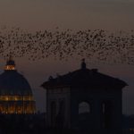 Never rains but it pours for guano-hit Rome