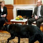 Putin ‘didn’t mean to scare Merkel with dog’