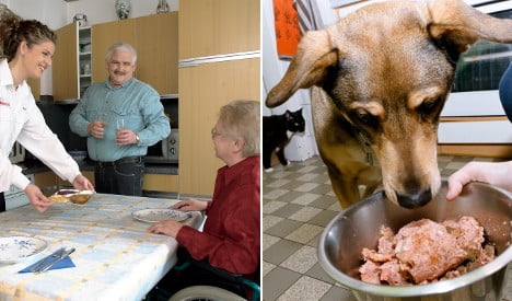 Seniors' Xmas ragout turns out to be dog food