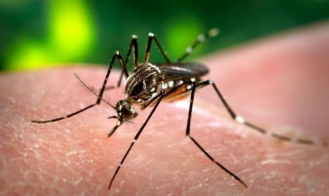 Fears as fetus-deforming Zika virus found in Italy