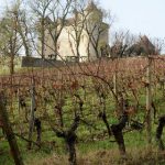 France’s Cahors region is new frontier for wine investors