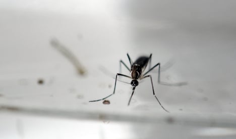 Zika virus: Experts warn Spain to expect 200 cases this year