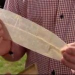Swede finds 86-year-old condom at grandma’s