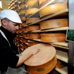French cheese used to power 1,500 homes