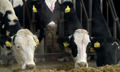 France confirms first case of mad cow disease since 2011