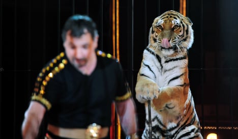 Nearly 300 Spanish towns ban 'cruel' animal circuses