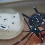 Spain’s first baby born to Zika infected mother given all clear