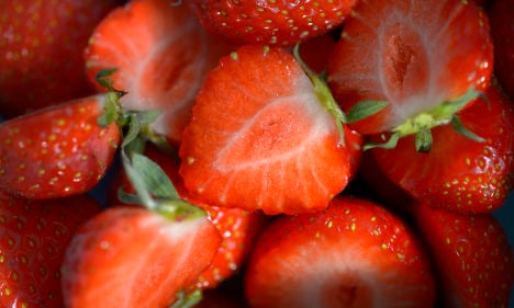 Sweet! Swede cashes in on first strawberry crop