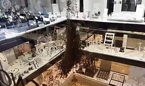 VIDEO: Jewellers in southern France raided by... swarm of bees