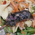 Parisian finds dead mouse in his half-eaten pasta salad