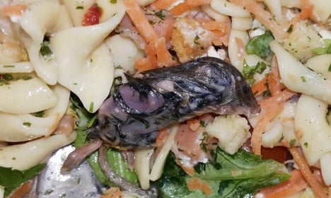 Parisian finds dead mouse in his half-eaten pasta salad
