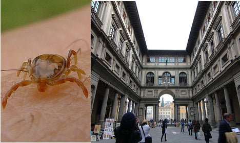 Ticks infest Italy's most famous art gallery