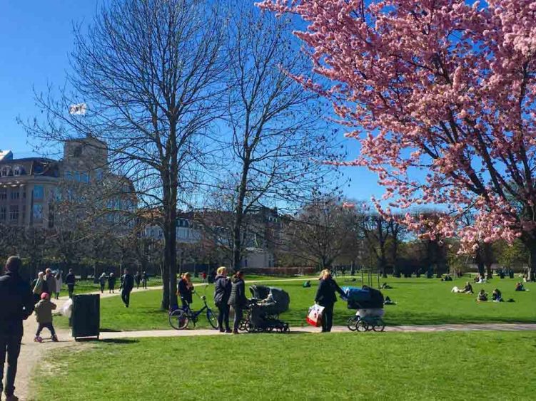 Copenhagen blooming with spring colours