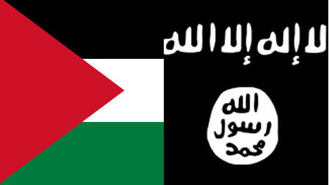 Palestine envoy angry at 'insulting' flag ban
