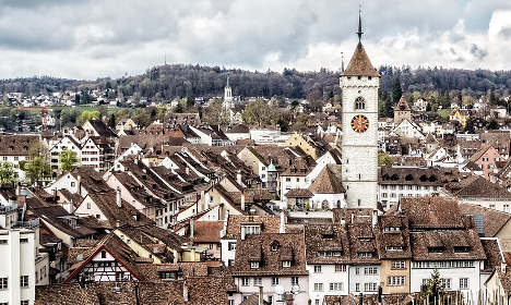 Decapitated cat shocks residents of Swiss town